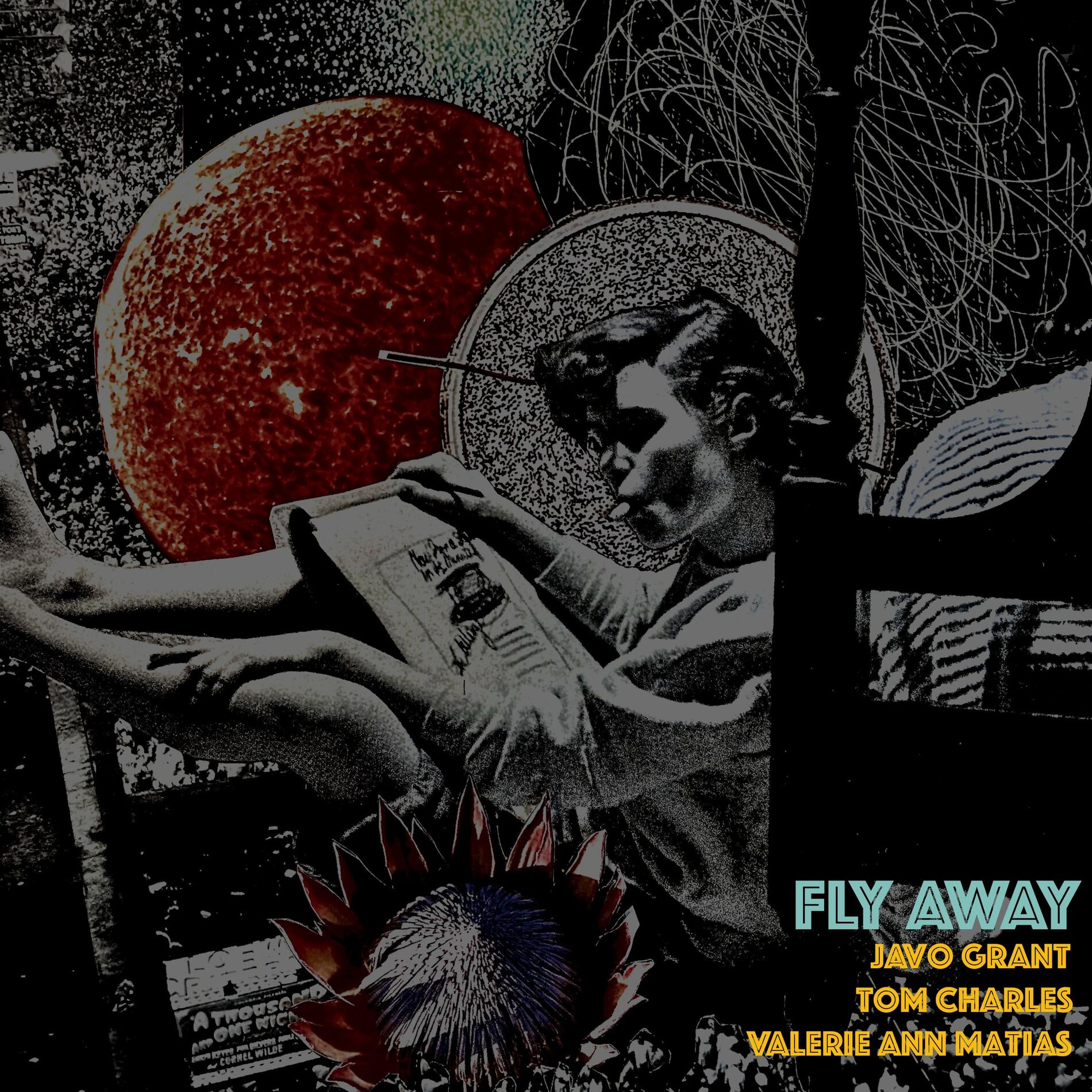 Album cover of Fly Away (feat. Tom Charles & Valerie Ann Matias)