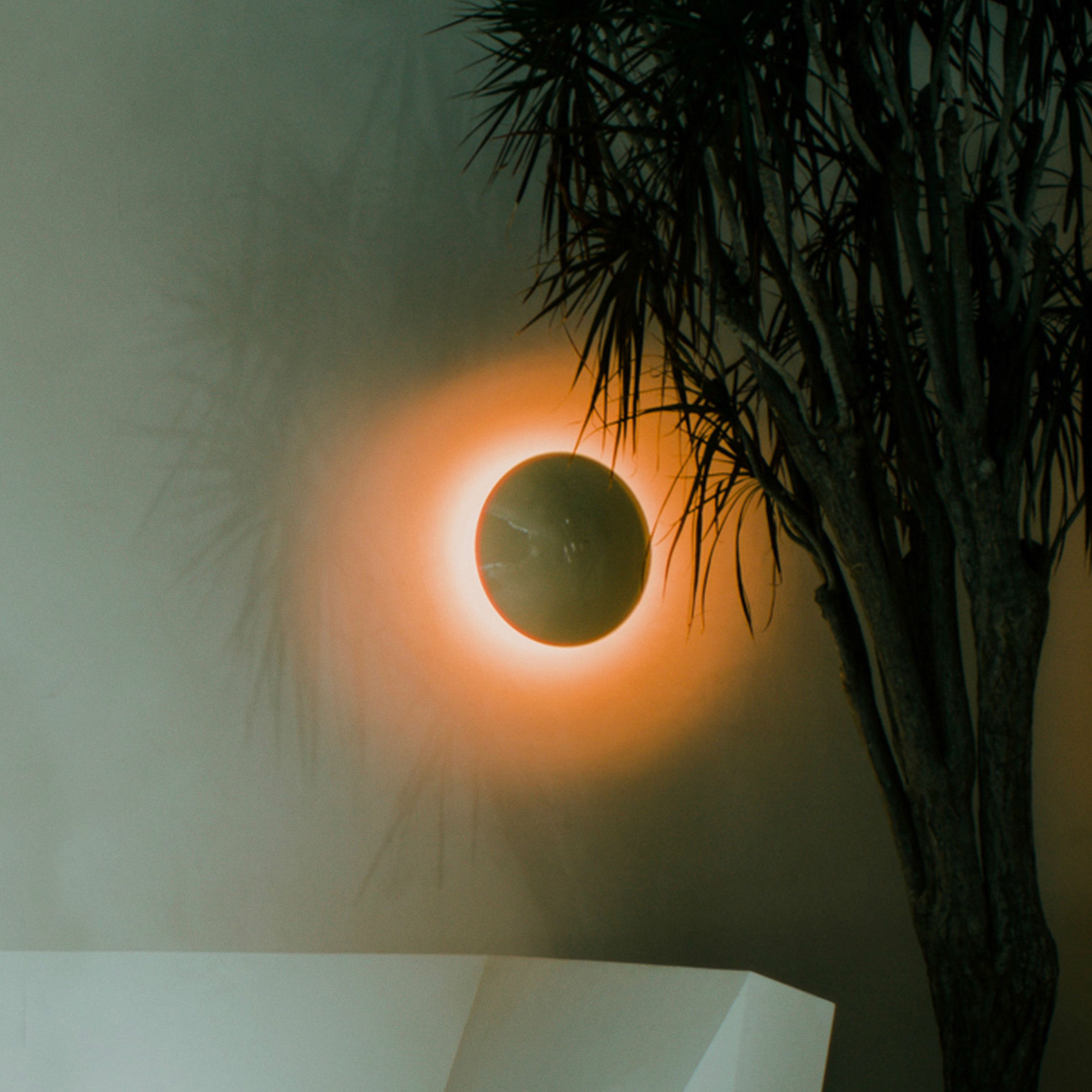 Album cover of Sunset (feat. Cory Wong & Plini)