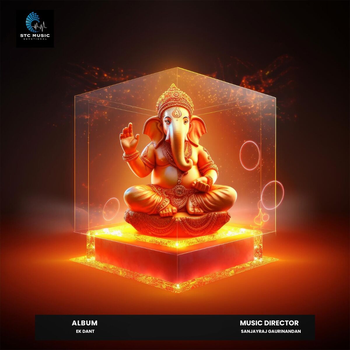 Album cover of Ek Dant