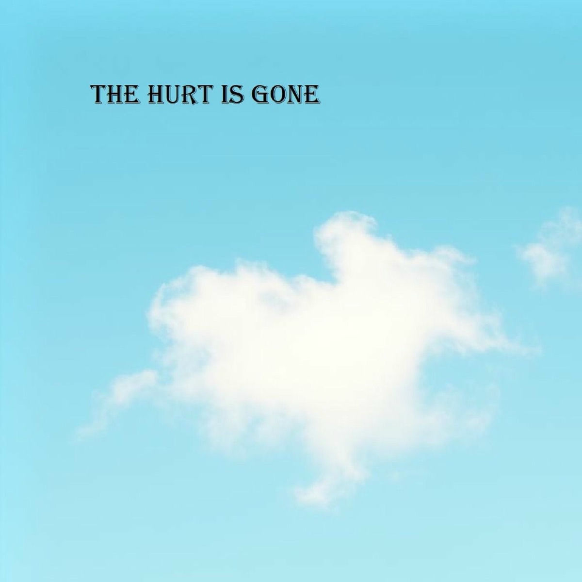 Album cover of The hurt is gone
