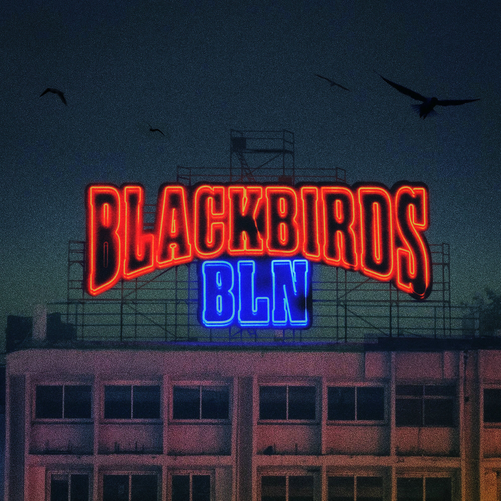Album cover of Blackbirds BLN