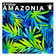 Amazonia (Original Mix) by Kyodai album cover