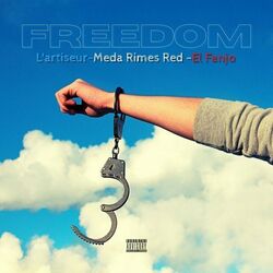 Cover of Freedom