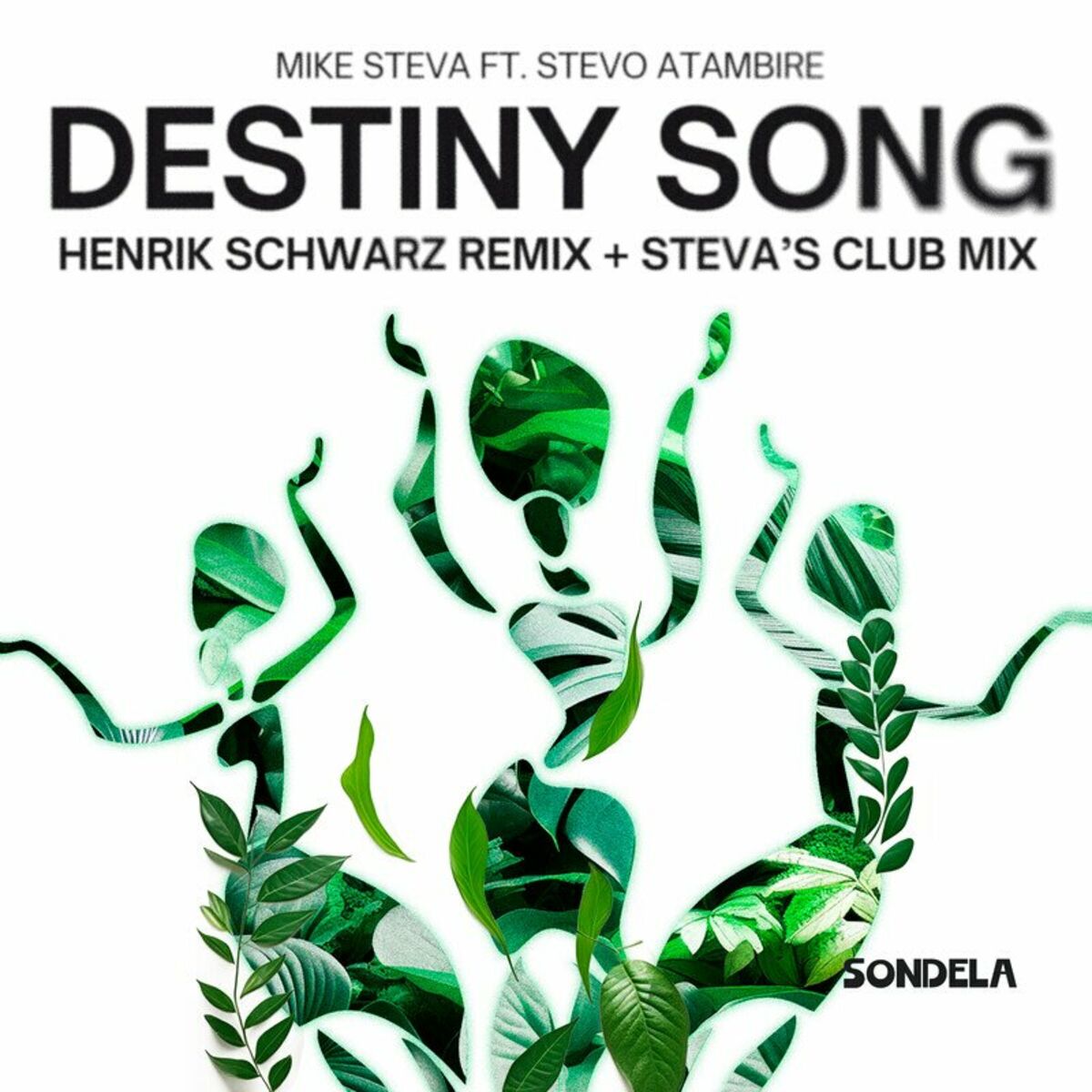 Album cover of Destiny Song (Remixes)