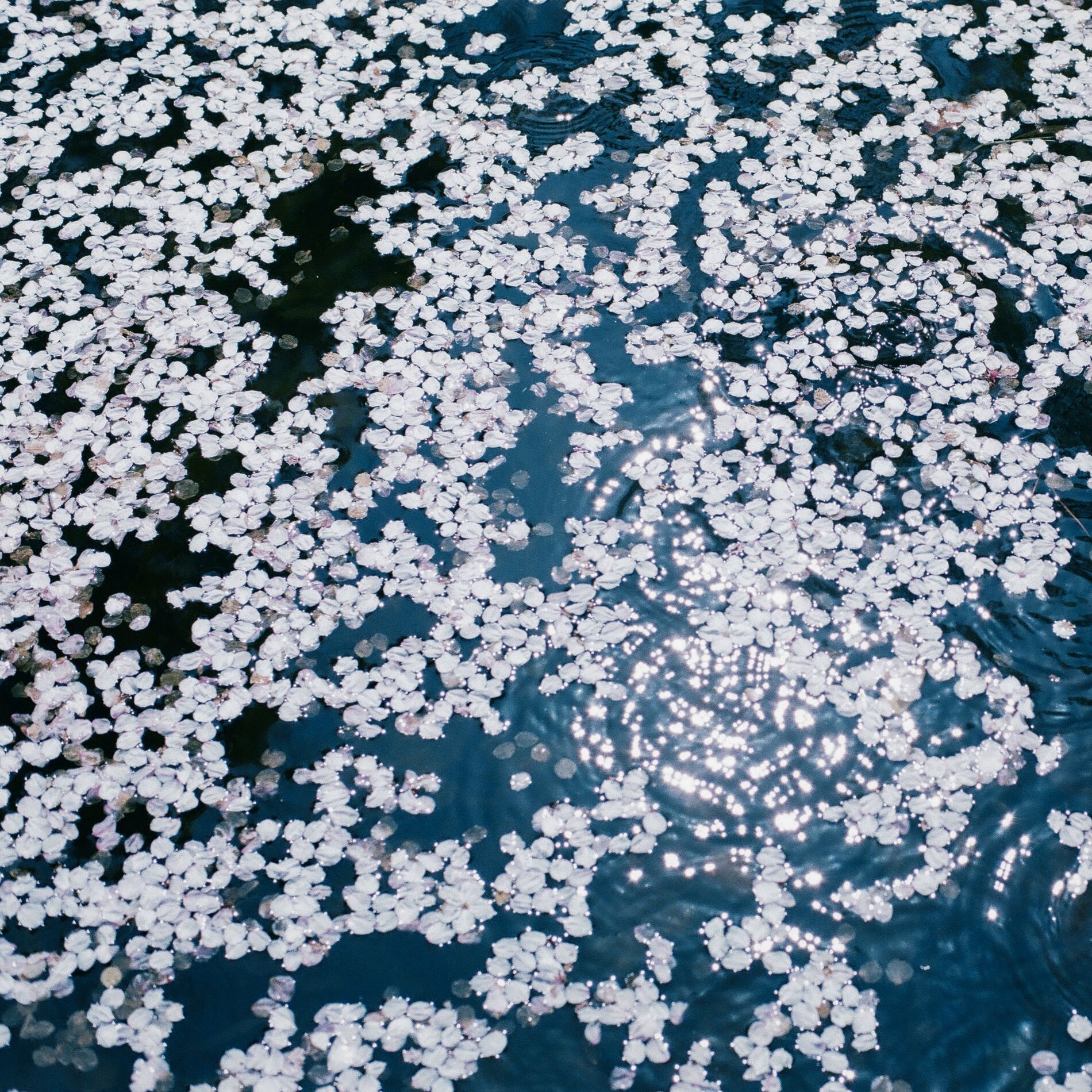 Album cover of april - water