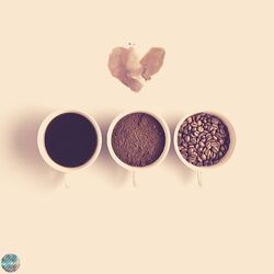 Cover of Coffee Shop