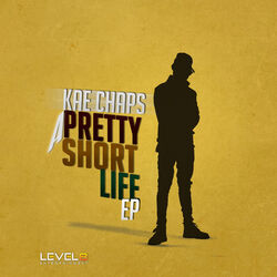Cover of A Pretty Short Life