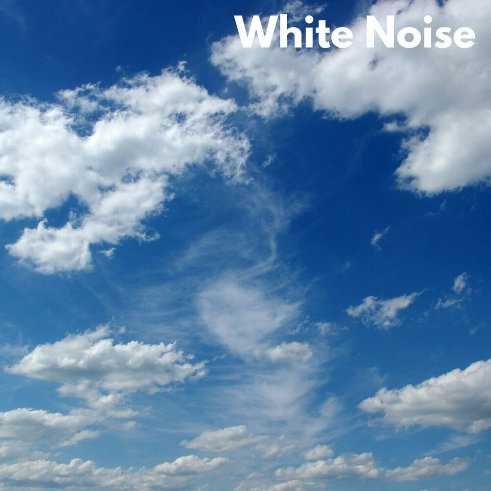 Picture of White Noise