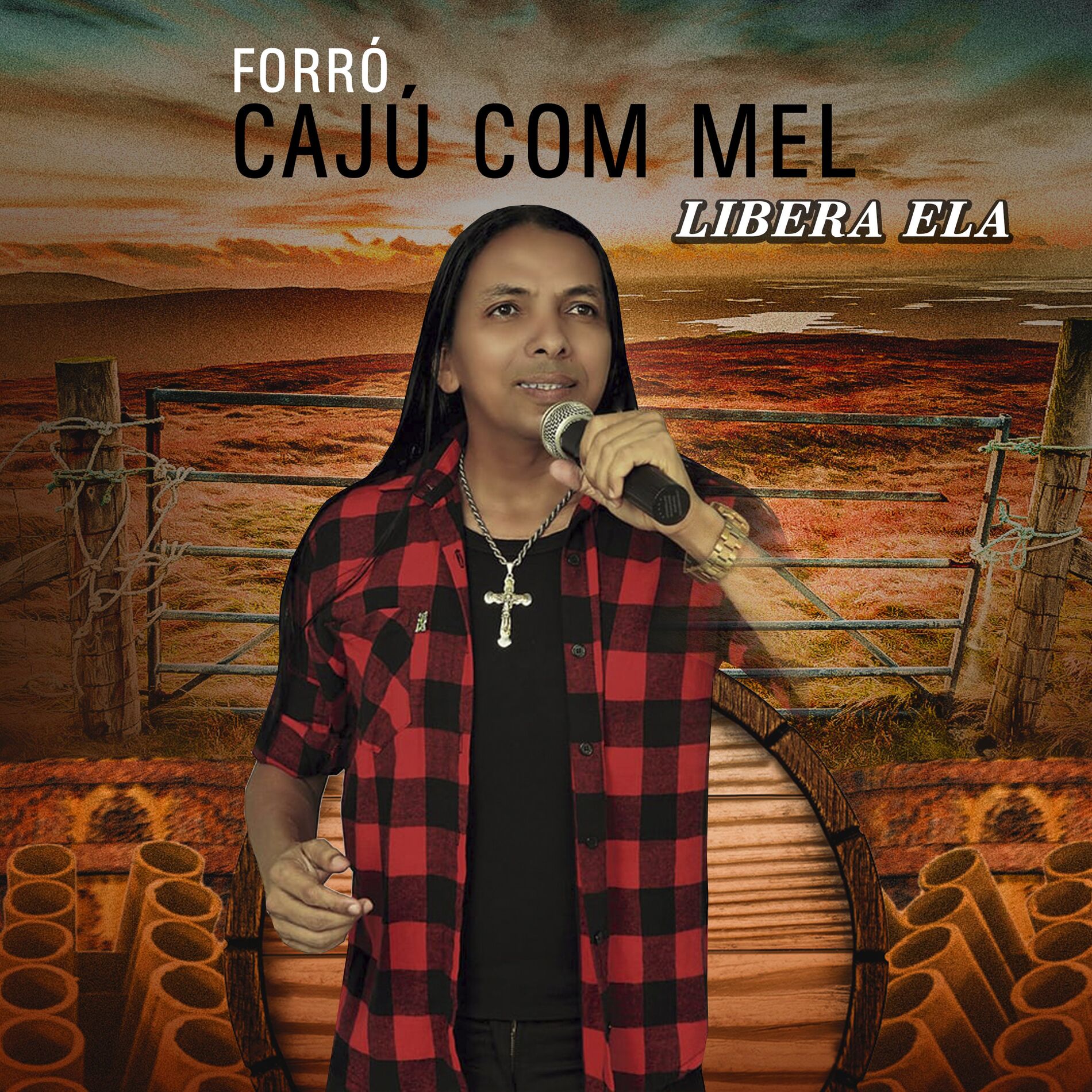 Album cover of Libera Ela