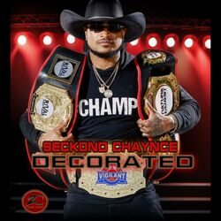 Cover of Decorated