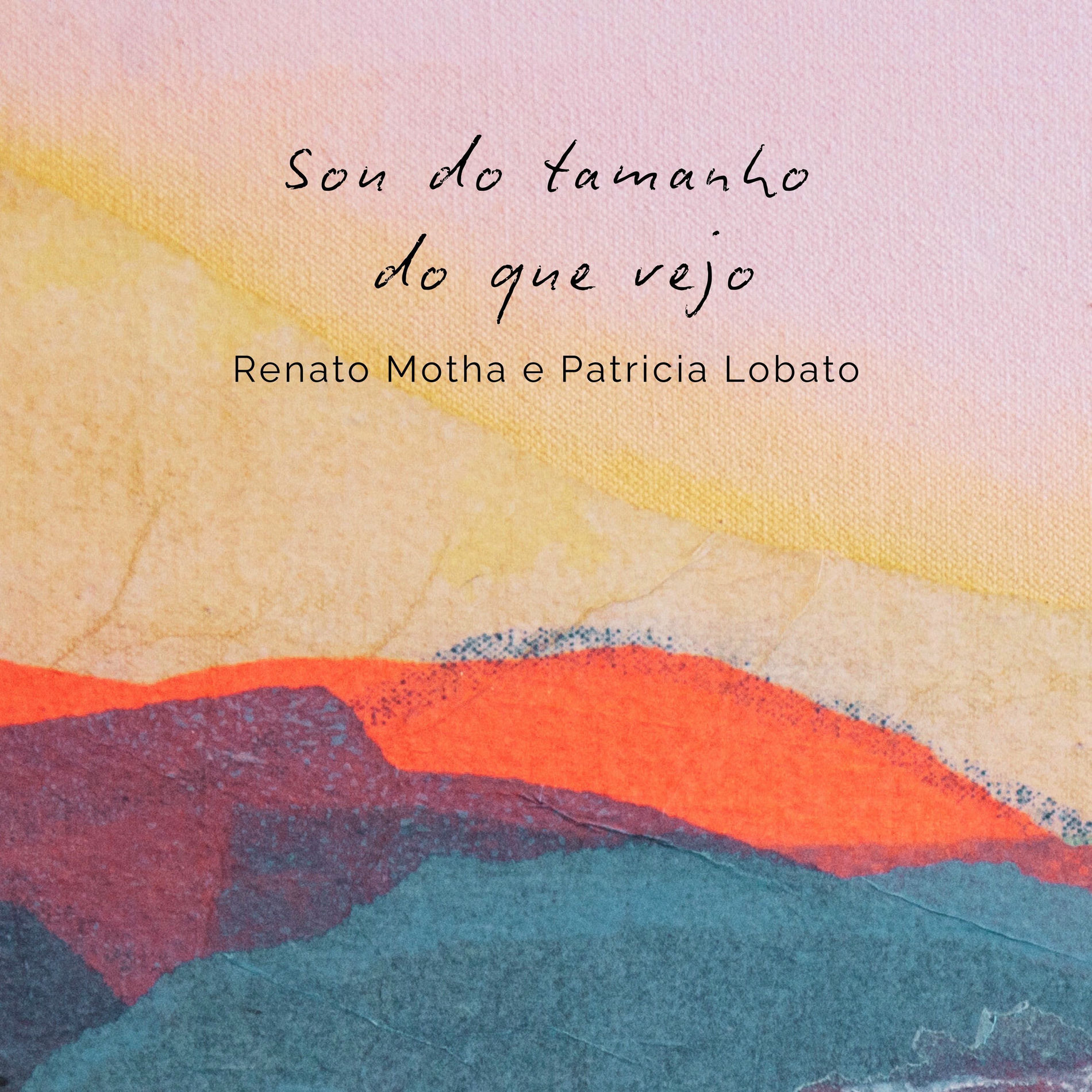 Album cover of Sou do Tamanho do Que Vejo