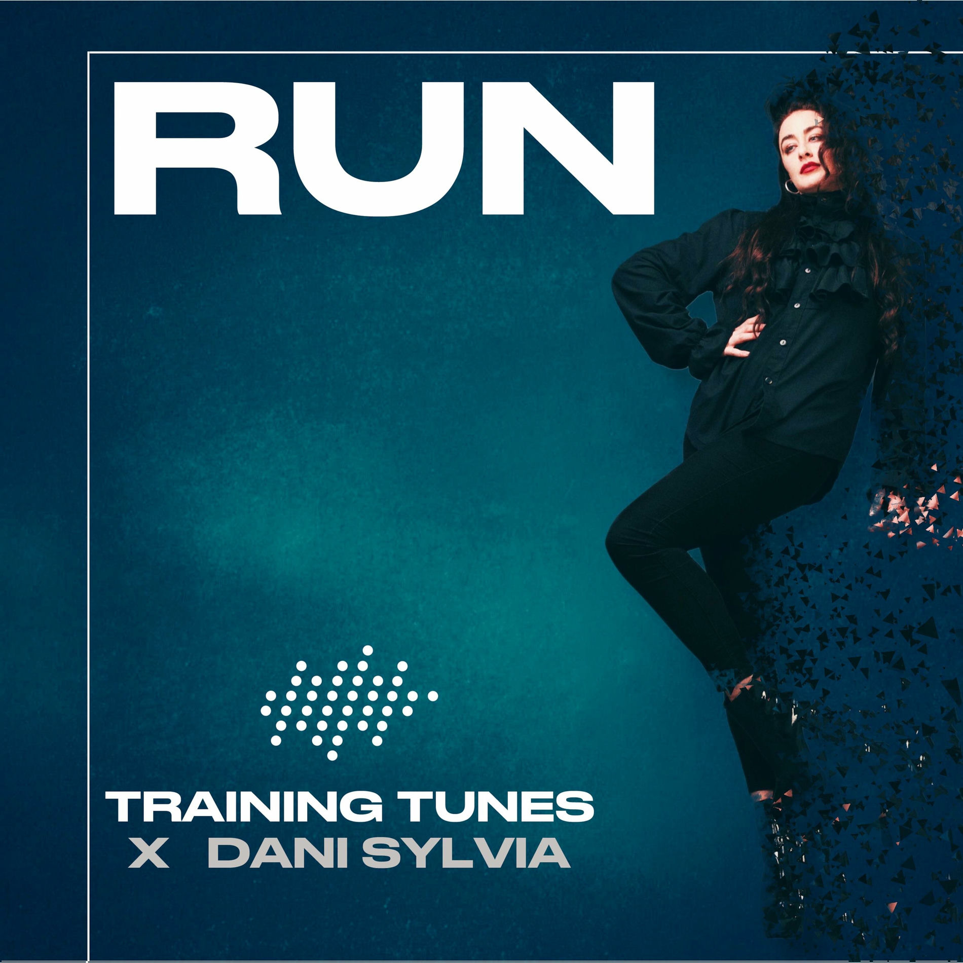 Album cover of Run