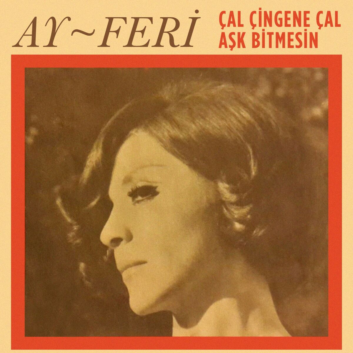 Album cover of Aşk Bitmesin
