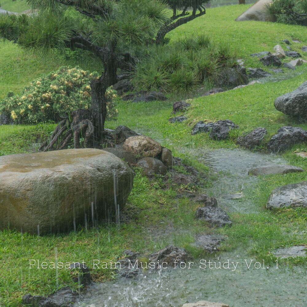 Picture of Pleasant Rain Music for Study Vol. 1