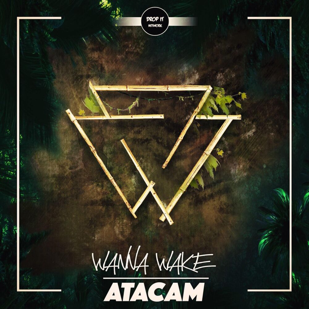 Picture of Atacam