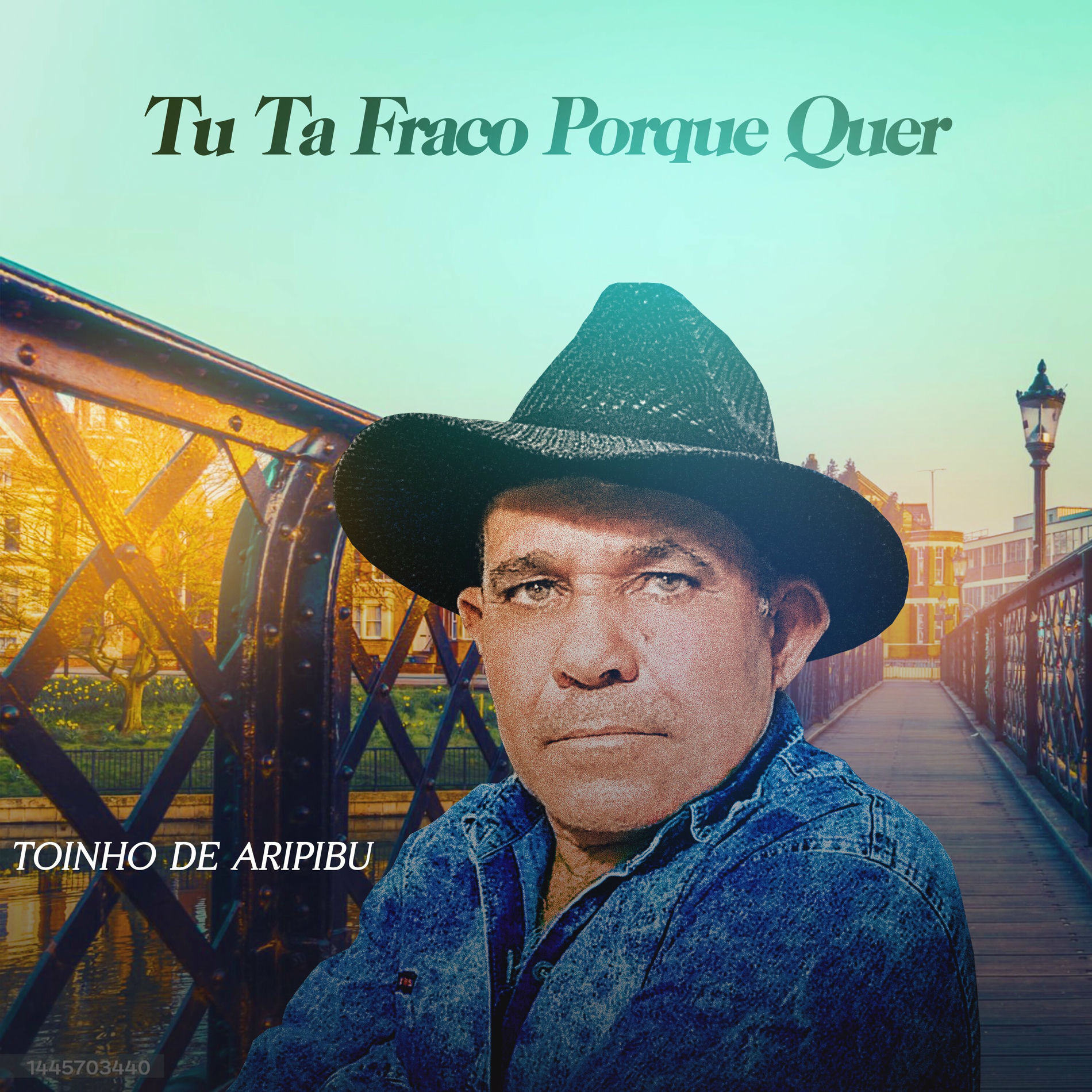 Album cover of Tu Ta Fraco Porque Quer