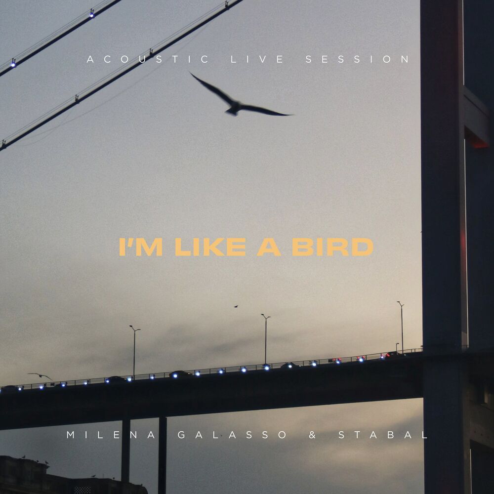 Picture of I'm Like A Bird (Acoustic Live Session)