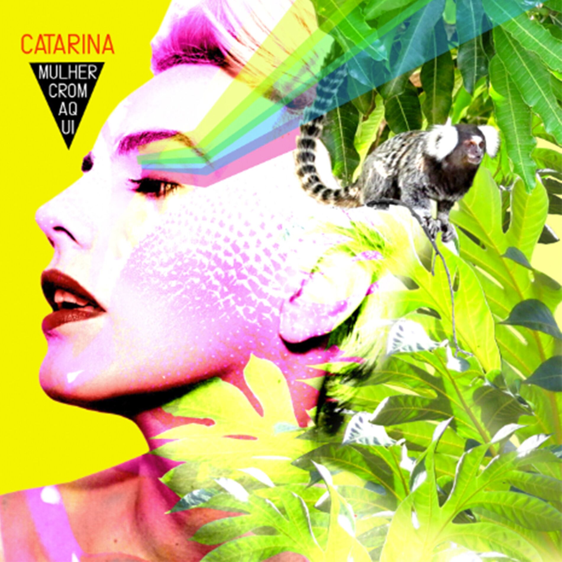 Album cover of Mulher Cromaqui