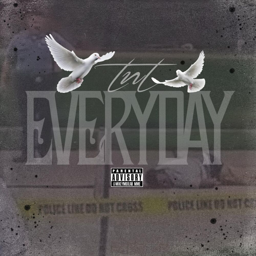 Picture of Everyday