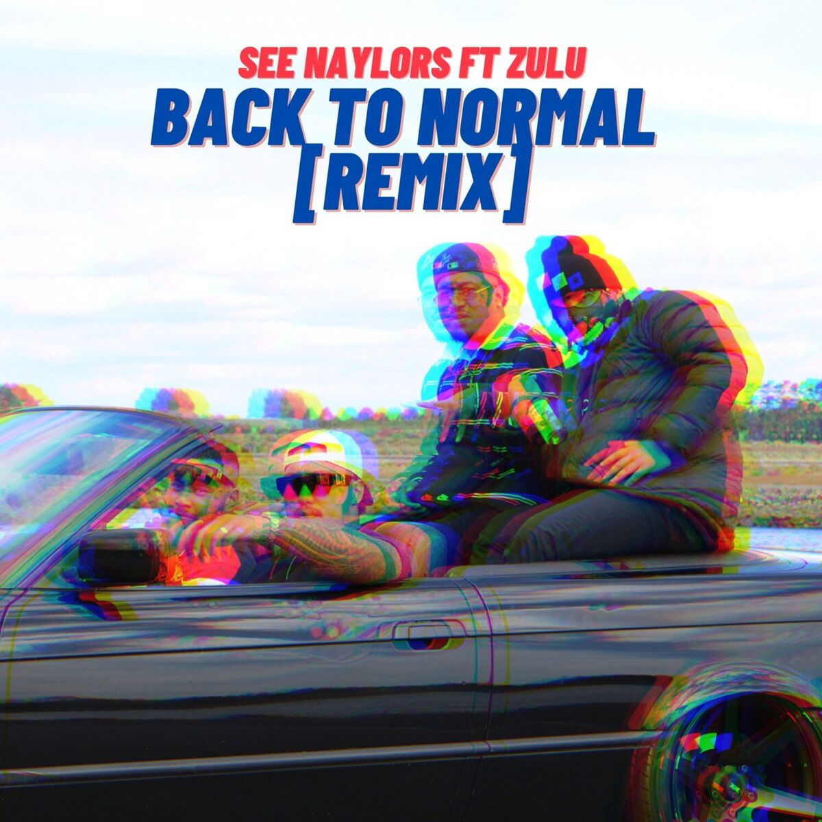 Album cover of Back to Normal