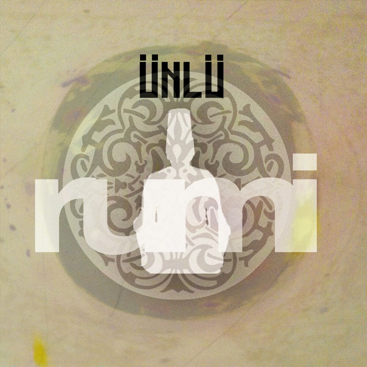 Album cover of Rumi