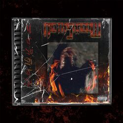Cover of Night Shadow