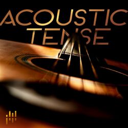Cover of Acoustic Tense