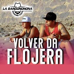 Cover of Volver da Flojera (Acustica)