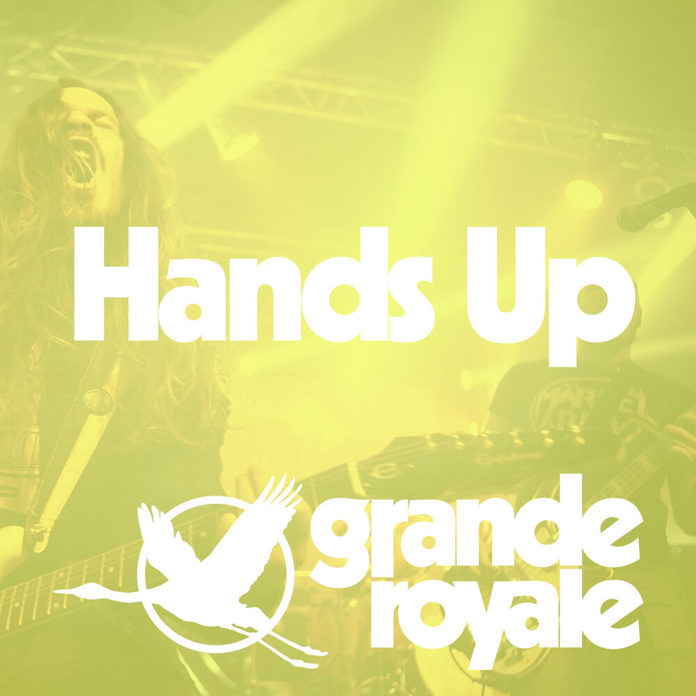 Picture of Hands Up