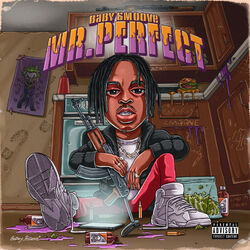 Cover of Mr.Perfect