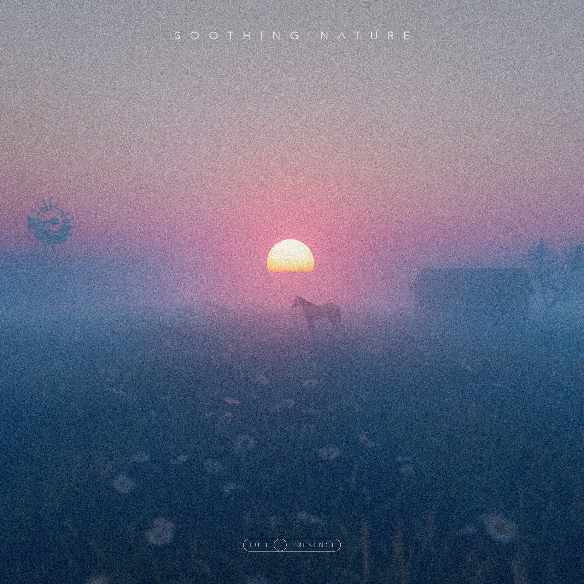 Album cover of Soothing Nature