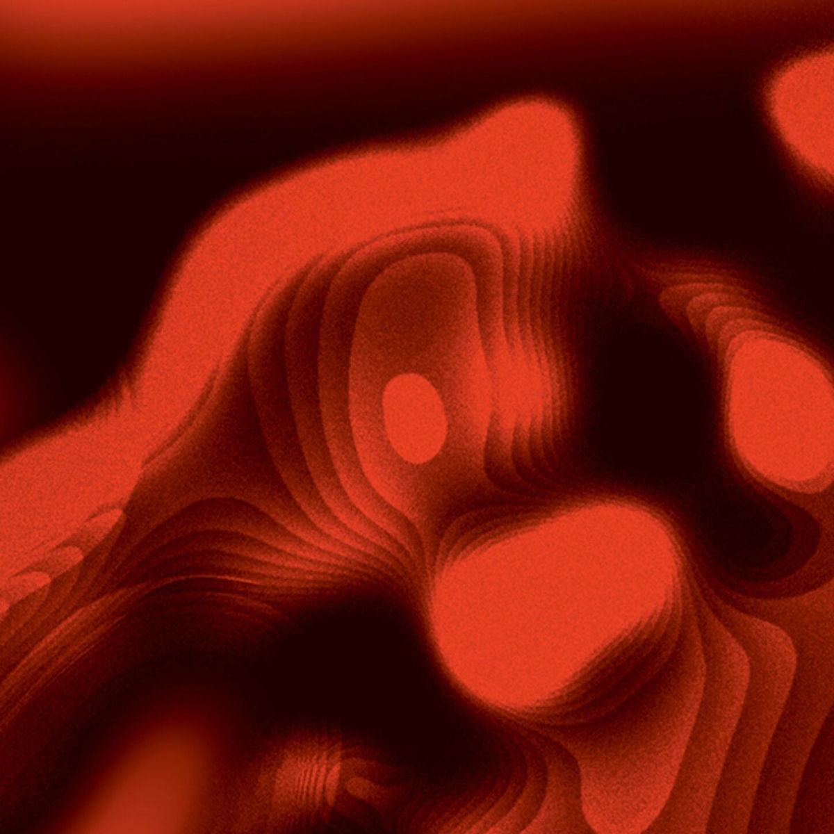 Album cover of Among Oaks