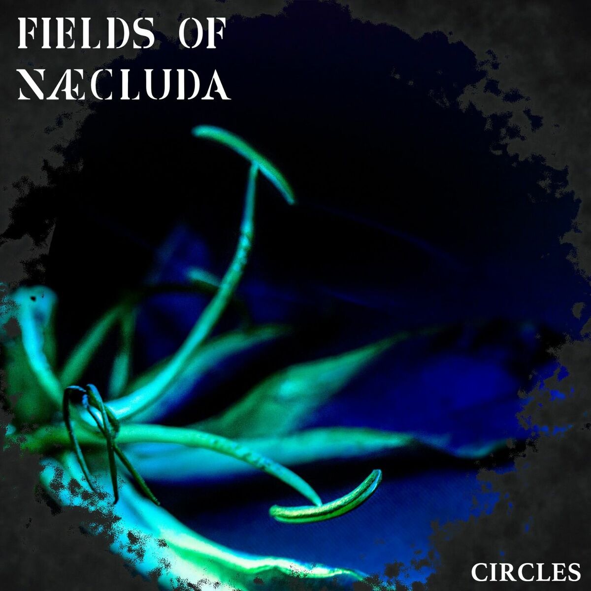 Album cover of Circles