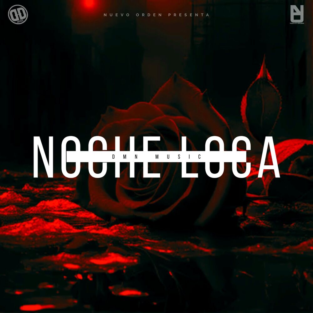 Picture of Noche Loca