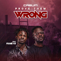 Cover of Prove Them Wrong