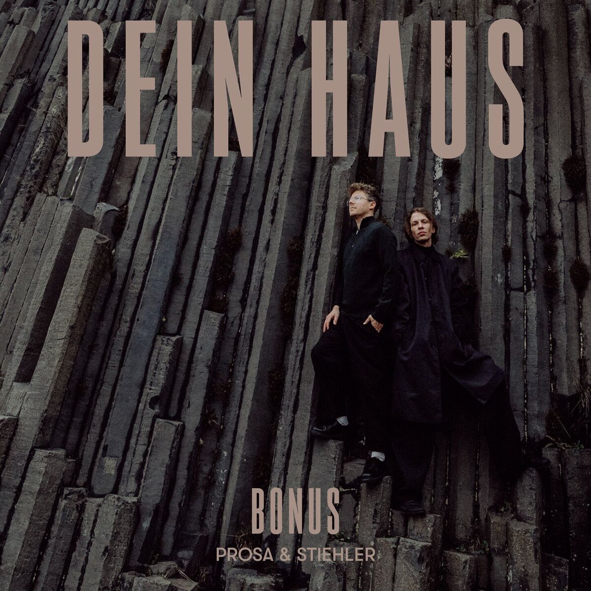 Album cover of Dein Haus (Bonus)