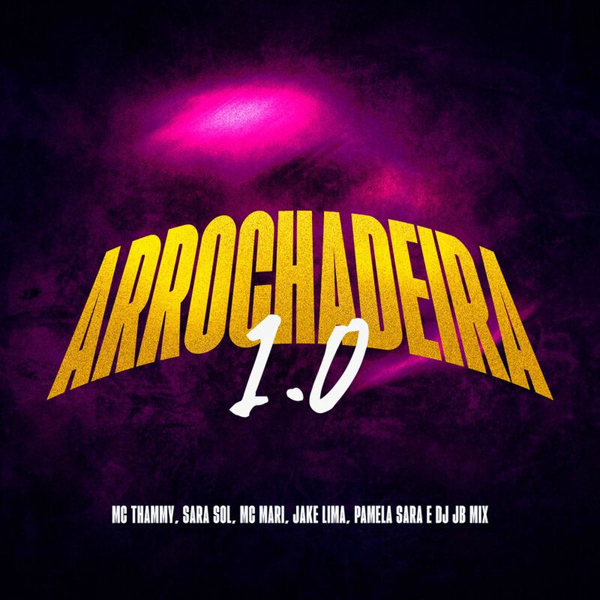 Album cover of Arrochadeira 1.0