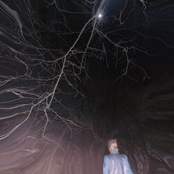 Cover of Winter