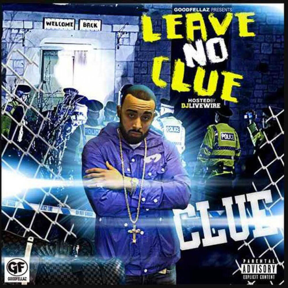 Picture of Leave No Clue