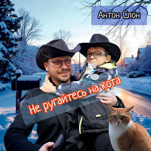 Не ругайтесь на кота