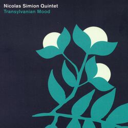 Cover of Transylvanian Mood