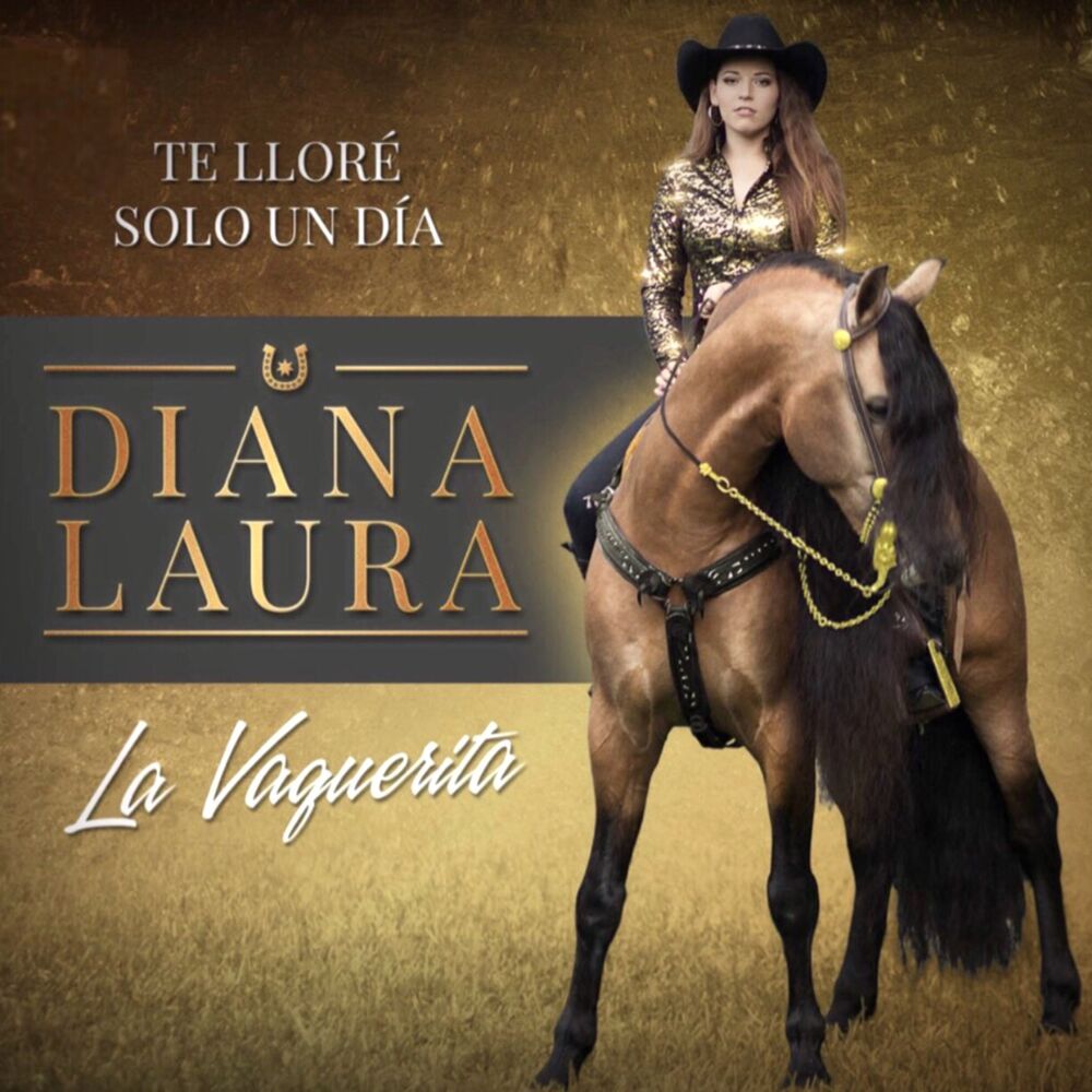 Picture of Te Lloré Solo un Día