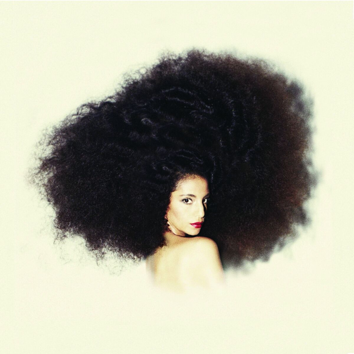 Album cover of Asile exquis