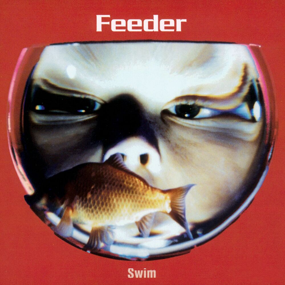 Picture of Swim