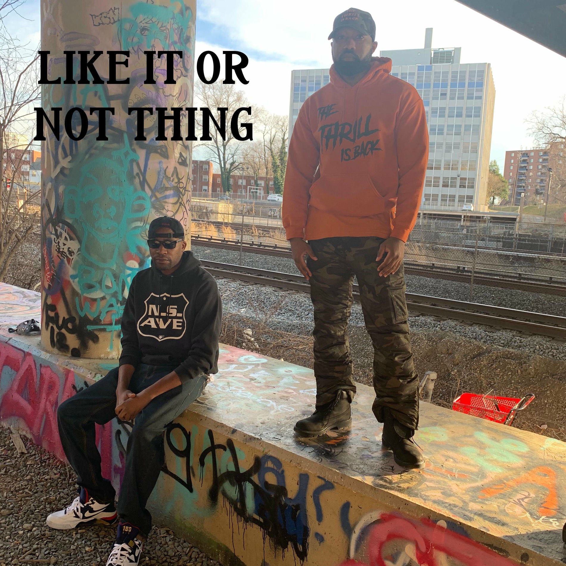Album cover of Like It or Not Thing (feat. ILLI) [Radio Edit]
