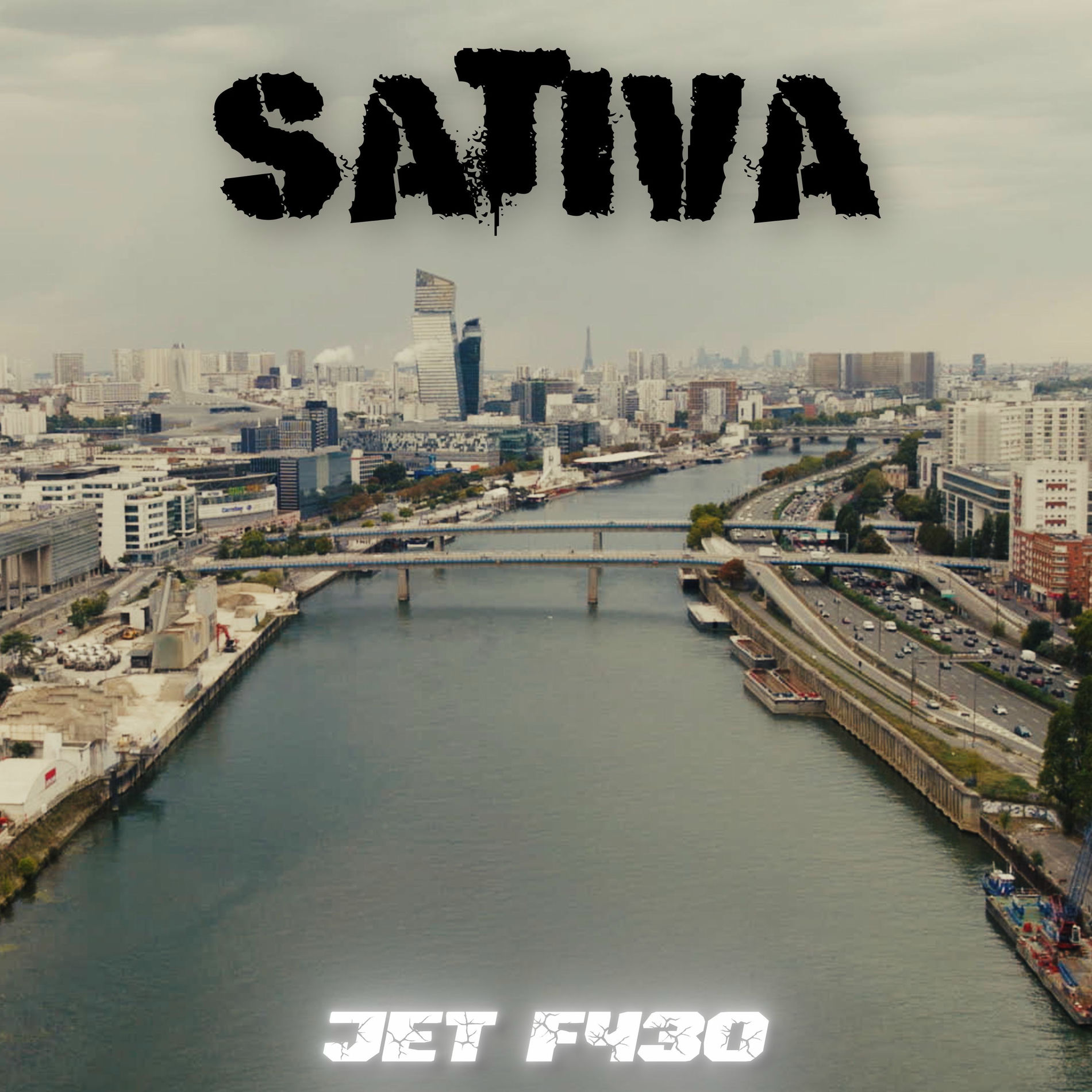 Album cover of SATIVA
