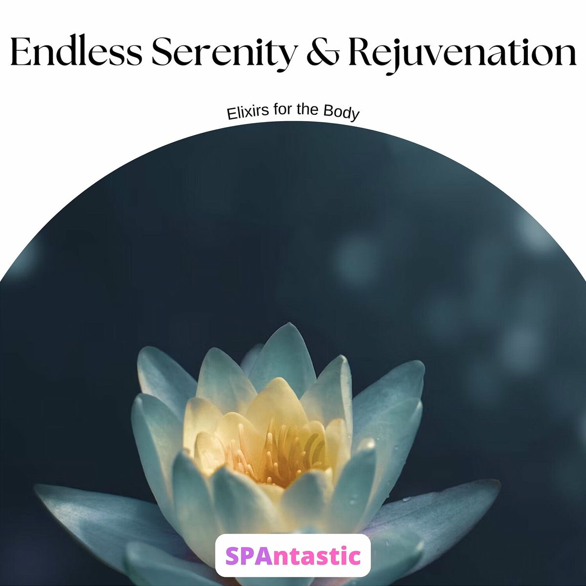 Album cover of Endless Serenity & Rejuvenation: Elixirs for the Body