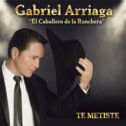 Cover of Te Metiste