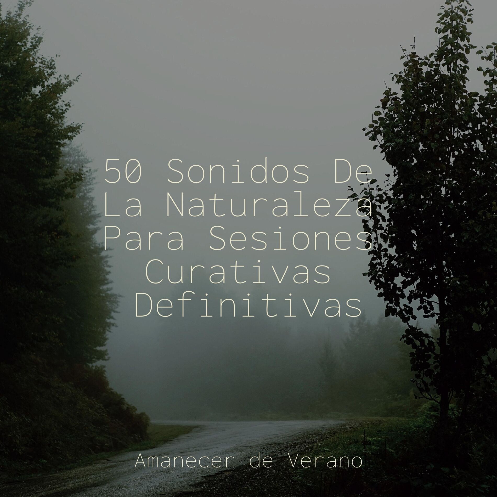 Album cover of 50 Sonidos De La Naturaleza Para Sesiones Curativas Definitivas