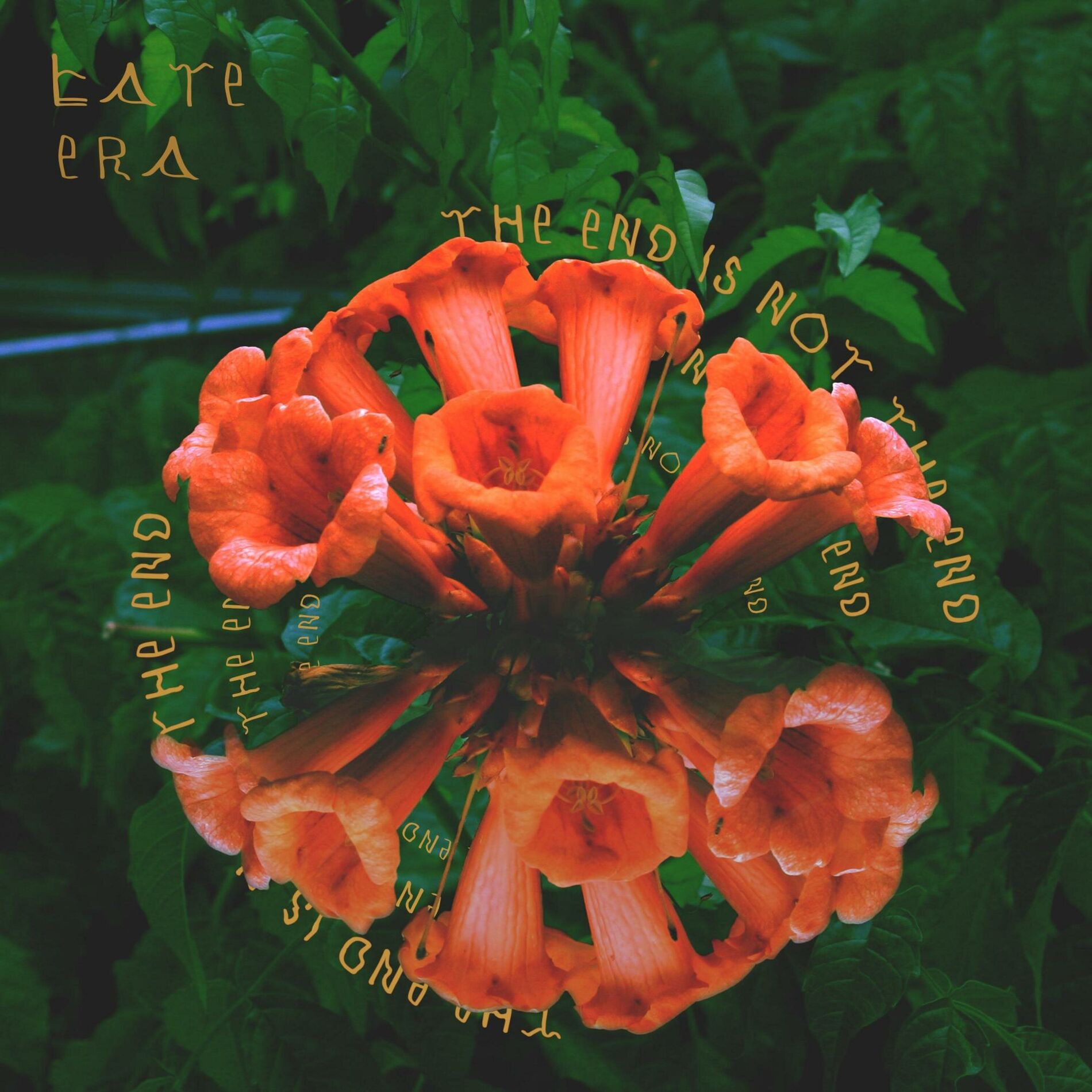Album cover of took took ~ the end is not the end
